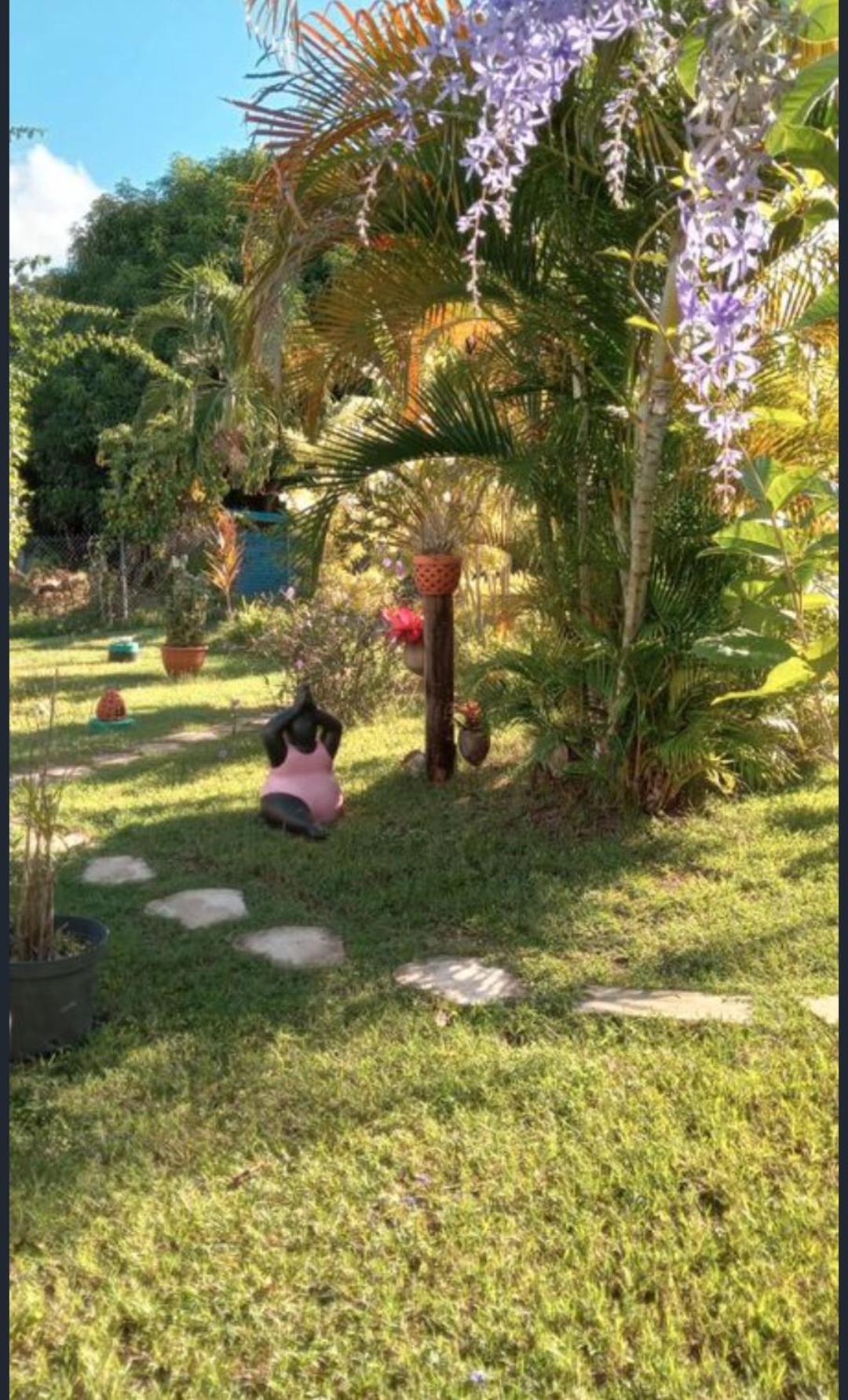 Gite Cajou Dans Jardin Tropical Ventile A Sainte-Anne Luaran gambar