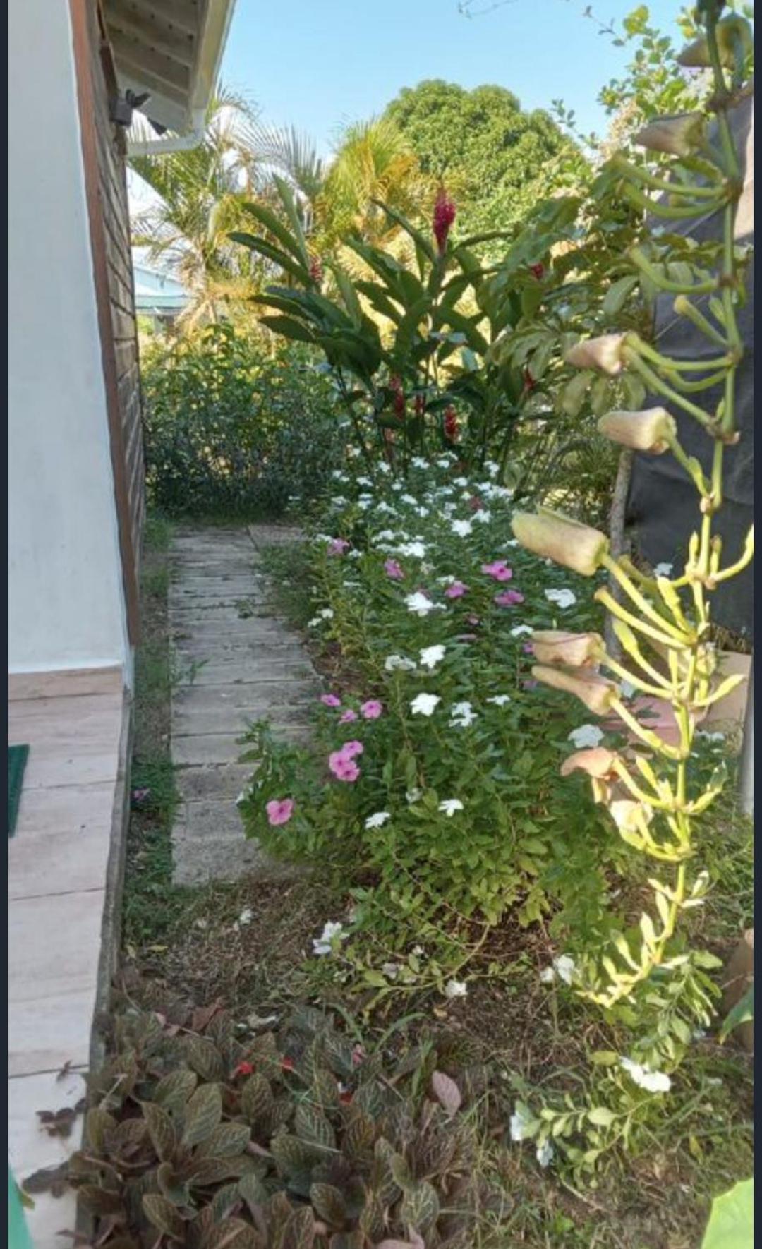 Gite Cajou Dans Jardin Tropical Ventile A Sainte-Anne Luaran gambar